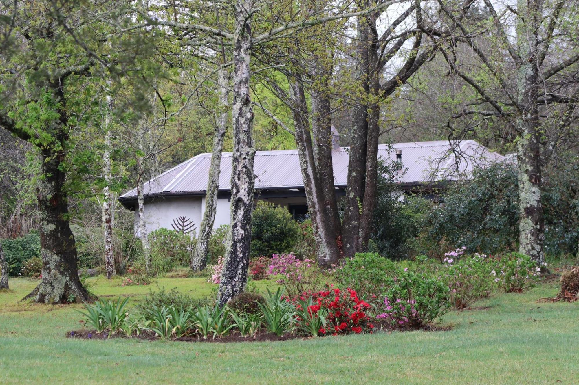 Bramber Cottage Hogsback, Living With Joy! Extérieur photo