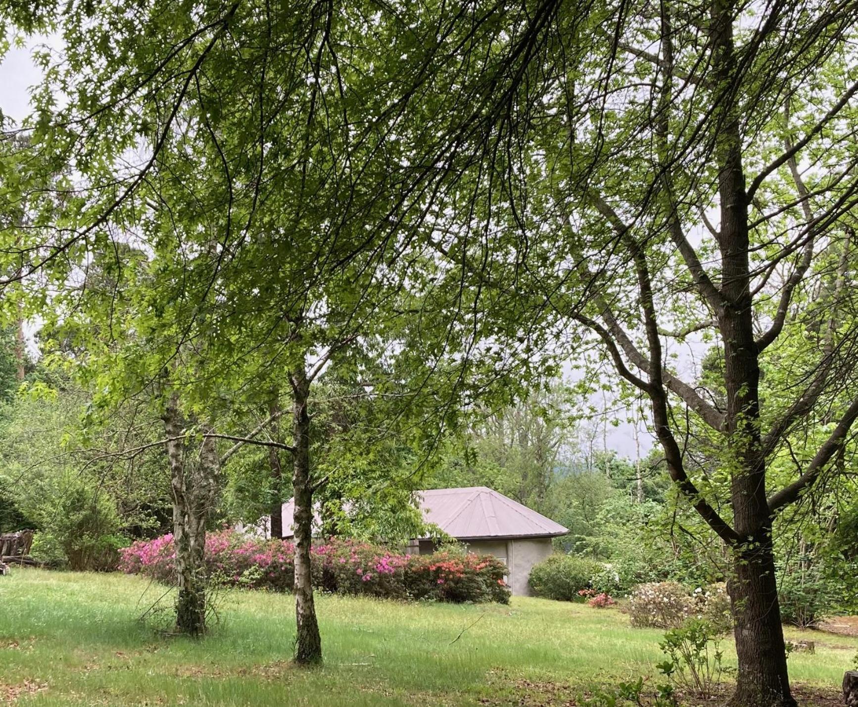 Bramber Cottage Hogsback, Living With Joy! Extérieur photo